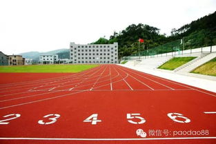 塑膠跑道分類與預(yù)制型卷材解析 材料廠家專業(yè)指南